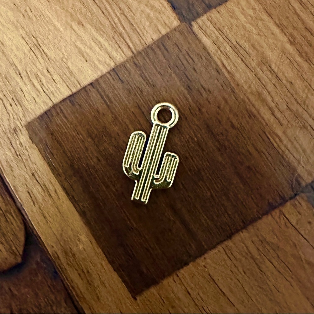 🔴 5 for $10 ONE Cactus Charm Pendant Jewelry Making DIY